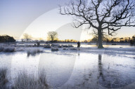 Cold weather continues in London, UK.