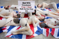 PETA Protest at Ministry of Defence in Whitehall, London, UK.