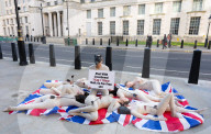 PETA Protest at Ministry of Defence in Whitehall, London, UK.