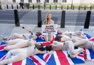 PETA Protest at Ministry of Defence in Whitehall, London, UK.
