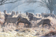 Snow and Frost this wieek for much of the UK