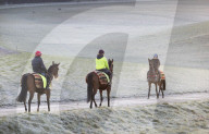 Freezing weather continues in Epsom, UK.