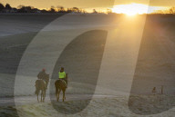 Freezing weather continues in Epsom, UK.
