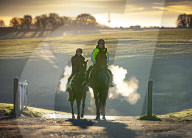 Freezing weather continues in Epsom, UK.