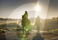 Freezing weather continues in Epsom, UK.