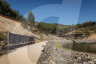 Eucalyptus plantations are expanding - and being blamed for devastation