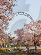 Plan for giant spokeless ferris wheel unveiled