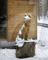 A wolf killed the EU president's precious pony - then the fight to catch the predator began.