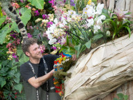 Kew annual Orchid Festival: Madagascar at Kew Gardens, Princess of Wales Conservatory, London, UK.