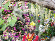 Kew annual Orchid Festival: Madagascar at Kew Gardens, Princess of Wales Conservatory, London, UK.