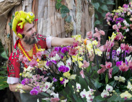 Kew annual Orchid Festival: Madagascar at Kew Gardens, Princess of Wales Conservatory, London, UK.
