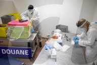 Smoked monkey and whole sharks: the suitcase smugglers feeding Europe’s hunger for bushmeat