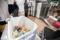 Smoked monkey and whole sharks: the suitcase smugglers feeding Europe’s hunger for bushmeat