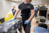 Smoked monkey and whole sharks: the suitcase smugglers feeding Europe’s hunger for bushmeat