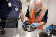 Smoked monkey and whole sharks: the suitcase smugglers feeding Europe’s hunger for bushmeat