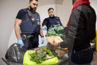 Smoked monkey and whole sharks: the suitcase smugglers feeding Europe’s hunger for bushmeat