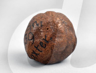 Near 300-year-old lemon sells for £1,400  GBP at auction