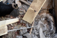 A year in the aftermath of Turkey's earthquake - a photo essay