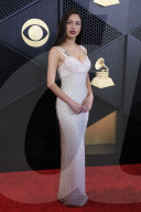 Grammy Awards 2024: RED CARPET