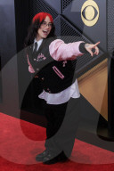Grammy Awards 2024: RED CARPET