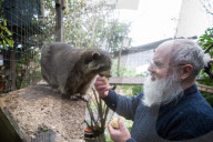 'There's still a stigma': UK raccoon rescuer Iain Jenkins on mental health, animal wit - and not startling skunks