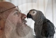 'There's still a stigma': UK raccoon rescuer Iain Jenkins on mental health, animal wit - and not startling skunks