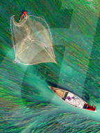 FEATURE - Die Fischer sind von grünem Wasser umgeben, während sie mit großen Netzen Fische fangen