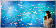 Retrospective exhibition dedicated to Alighiero Boetti at Christie’s, London, UK.