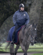 ROYALS - Prince Andrew beim Ausritt durch den Park von Schloss Windsor