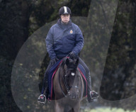 ROYALS - Prince Andrew beim Ausritt durch den Park von Schloss Windsor