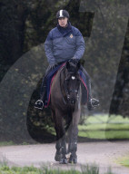 ROYALS - Prince Andrew beim Ausritt durch den Park von Schloss Windsor