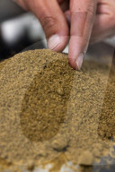 Nutrinsect the Italian cricket-breeders putting a positive spin on insect-based food.