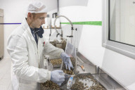 Nutrinsect the Italian cricket-breeders putting a positive spin on insect-based food.