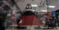 Robot can use all its body to grasp and carry just like a human