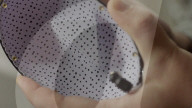 Robot can use all its body to grasp and carry just like a human