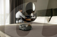 Sanitising mattress vacuum won't let the bed bugs bite