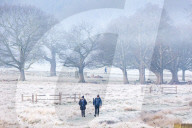 Frosty weather for meteorological Spring this week