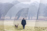 Frosty weather for meteorological Spring this week