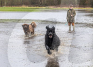 Snow, wind and rain for meteorological Spring this weekend. 