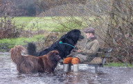 Snow, wind and rain for meteorological Spring this weekend. 