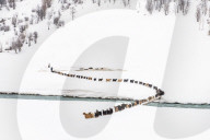 FEATURE - Hunderte von Schafen werden durch den Schnee getrieben