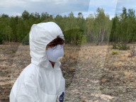 Chernobyl worms clue to cancer studies