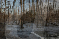 Recaptured Lyman left shattered by Russian occupation