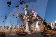 FEATURE - Kamele rennen über den Wüstensand