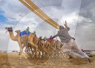FEATURE - Roboter-Jockeys reiten Kamele 