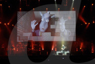 The Australian Pink Floyd Show performs THE WALL