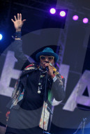 06. Elbjazz Festival 2015: Dee Dee Bridgewater