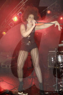 Noblesse Oblige live im Konzert