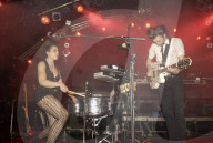 Noblesse Oblige live im Konzert