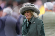 The Cheltenham Festival - Day Two in Cheltenham, UK.